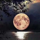 Djangoの魅力とその活用方法